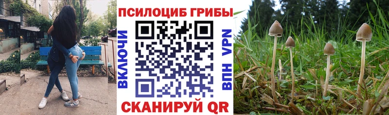 Псилоцибиновые грибы Magic Shrooms  Горно-Алтайск 