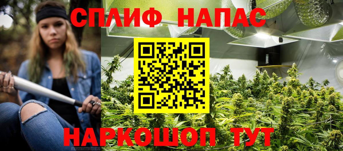 Бошки марихуана индика  Канабис ГИДРОПОН  Бошки Шишки Bruce Banner  Горно-Алтайск  Вход с VPN 